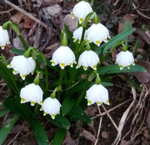 酒店 B&b Klammhof Panorama