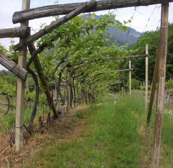 酒店 B&b Klammhof Panorama