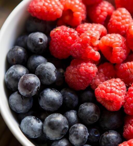 پانسیون Gil Vicente Charming Guesthouse