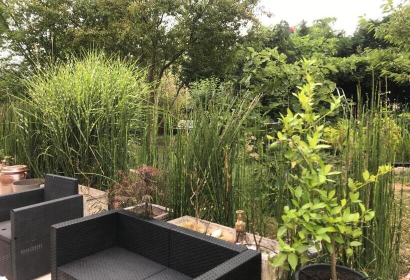 Pensionat Tercier De Vigne