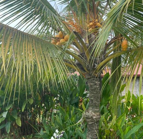 Silent Garden Ayurveda Health Resort