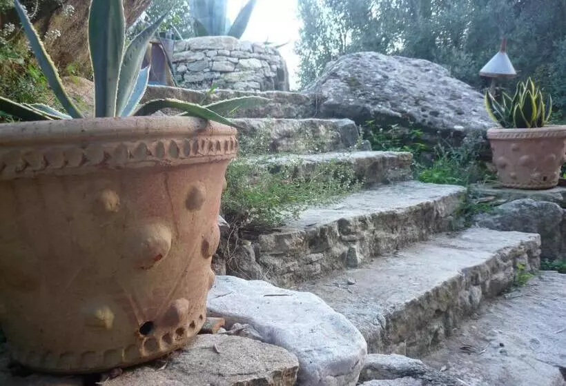تختخواب و صبحانه Rocca Del Vento