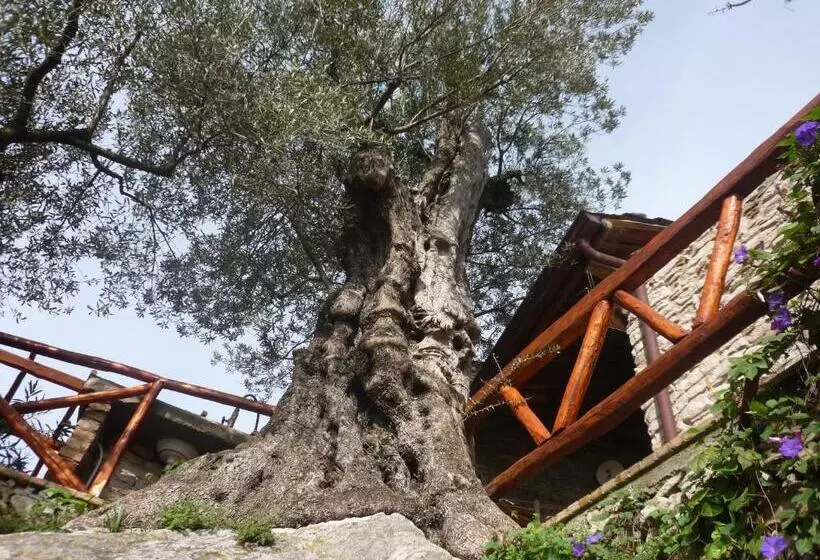 تختخواب و صبحانه Rocca Del Vento