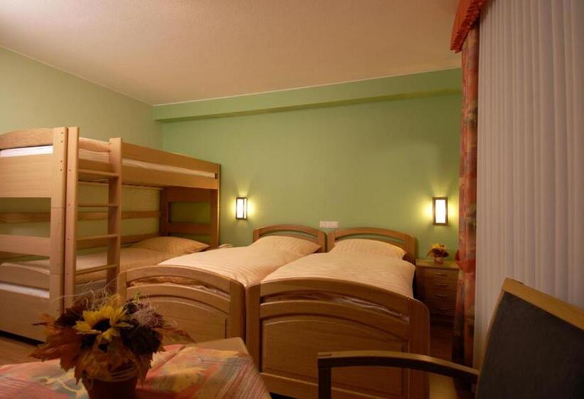 Отель Zum Burghof