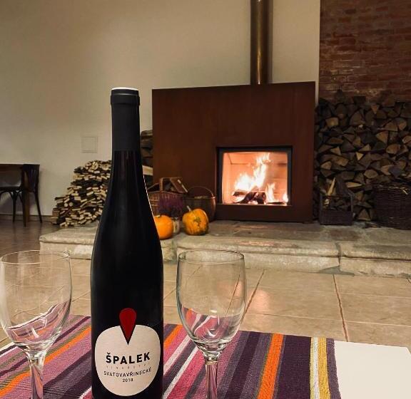 بنسيون Penzion Solnice