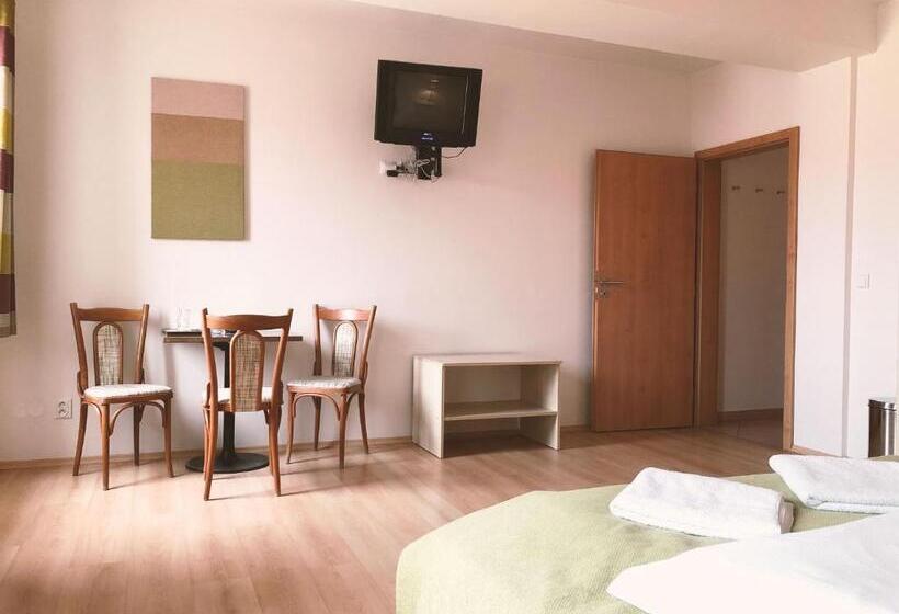 بنسيون Penzion Solnice