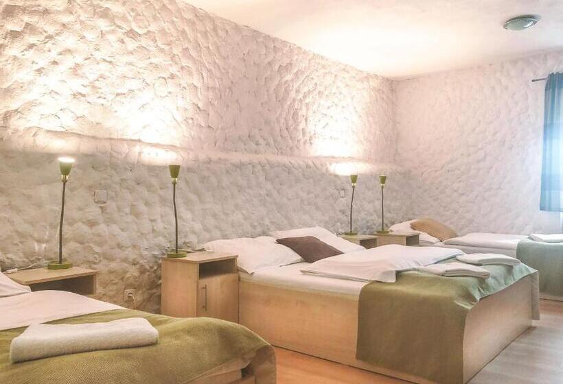 بنسيون Penzion Solnice