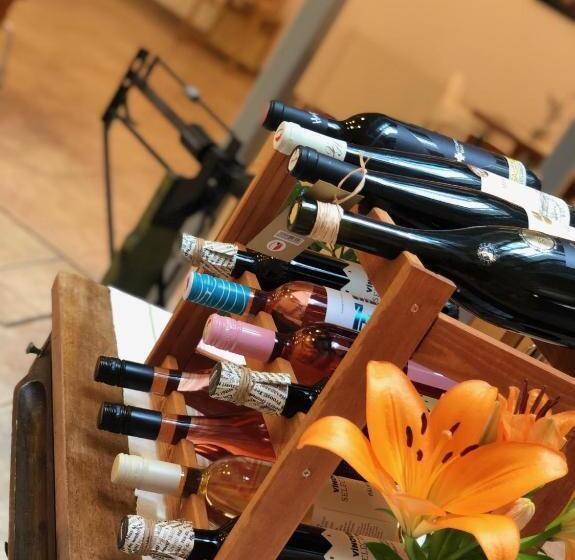 بنسيون Penzion Solnice