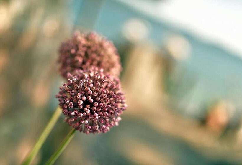 ペンション Sobe