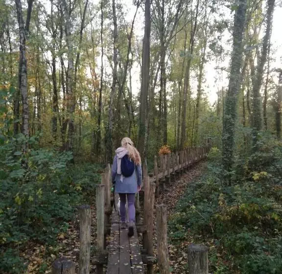B&b De Stuifduinen