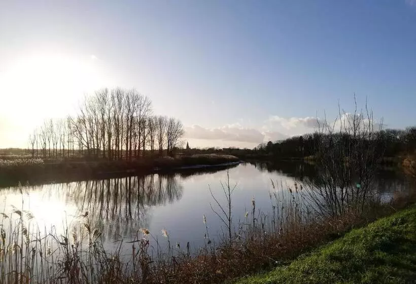 B&b De Stuifduinen