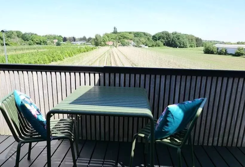 B&b De Stuifduinen