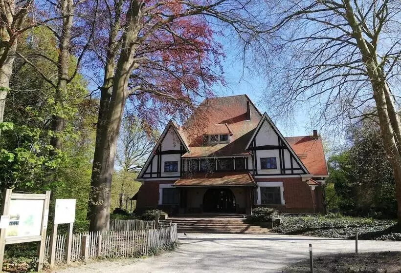 B&b De Stuifduinen