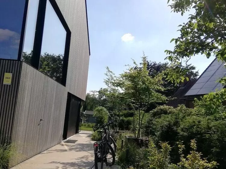 B&b De Stuifduinen