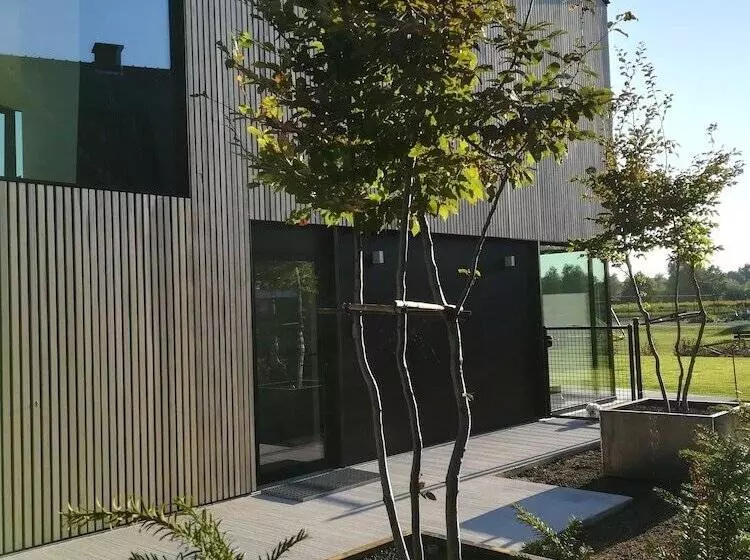 B&b De Stuifduinen