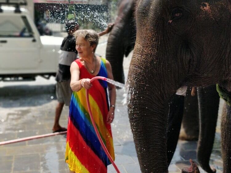 تختخواب و صبحانه Rhino Land, Sauraha