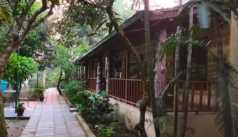 تختخواب و صبحانه Rhino Land Jungle Lodge