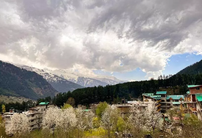 تختخواب و صبحانه Yolo Backpackers Max   Manali