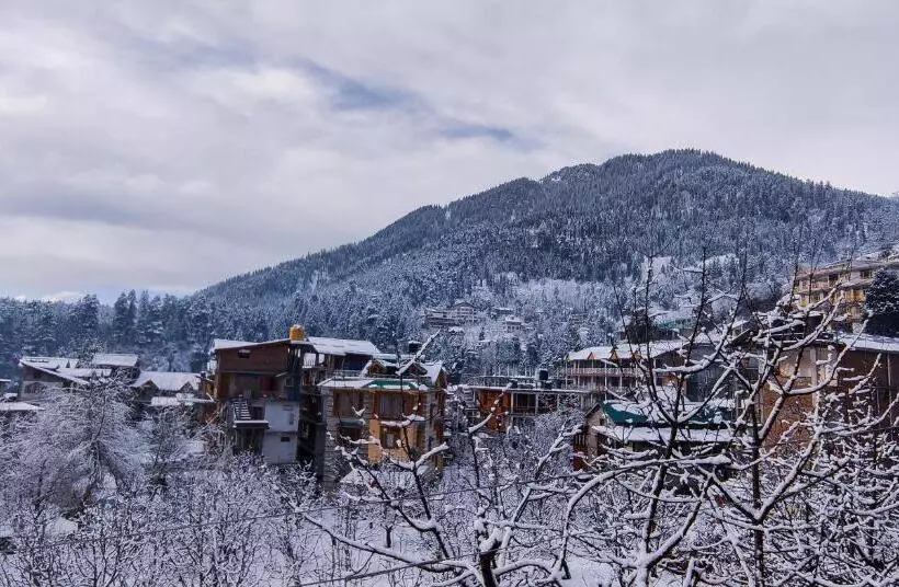 تختخواب و صبحانه Yolo Backpackers Max   Manali
