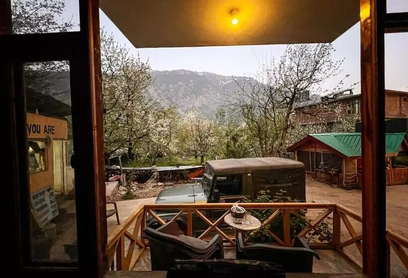 تختخواب و صبحانه Yolo Backpackers Max   Manali