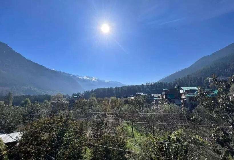 تختخواب و صبحانه Yolo Backpackers Max   Manali