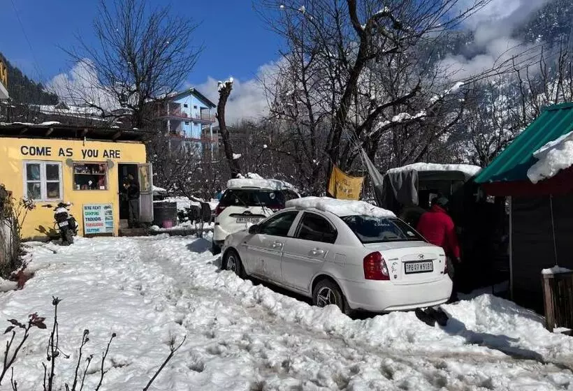 تختخواب و صبحانه Yolo Backpackers Max   Manali