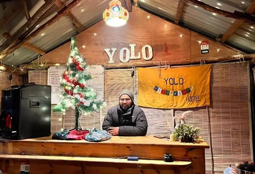 تختخواب و صبحانه Yolo Backpackers Max   Manali