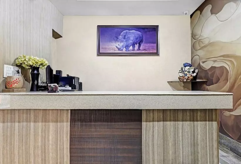 Hotel Treebo Apollo