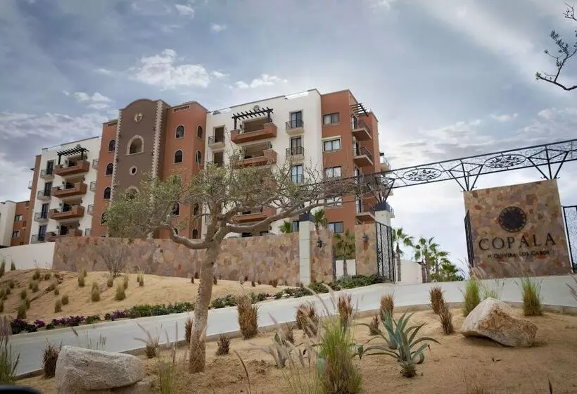リゾートホテル Quivira Los Cabos Condos & Homes Vacation Rentals