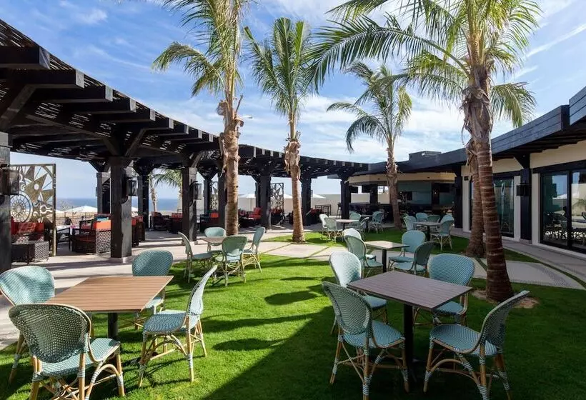 リゾートホテル Quivira Los Cabos Condos & Homes Vacation Rentals