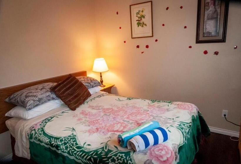 تختخواب و صبحانه Comfort Inn Hostel In Fraser Valley 2