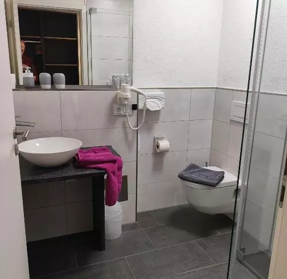 ホテル Gästehaus Stock Zimmer Wasserfall