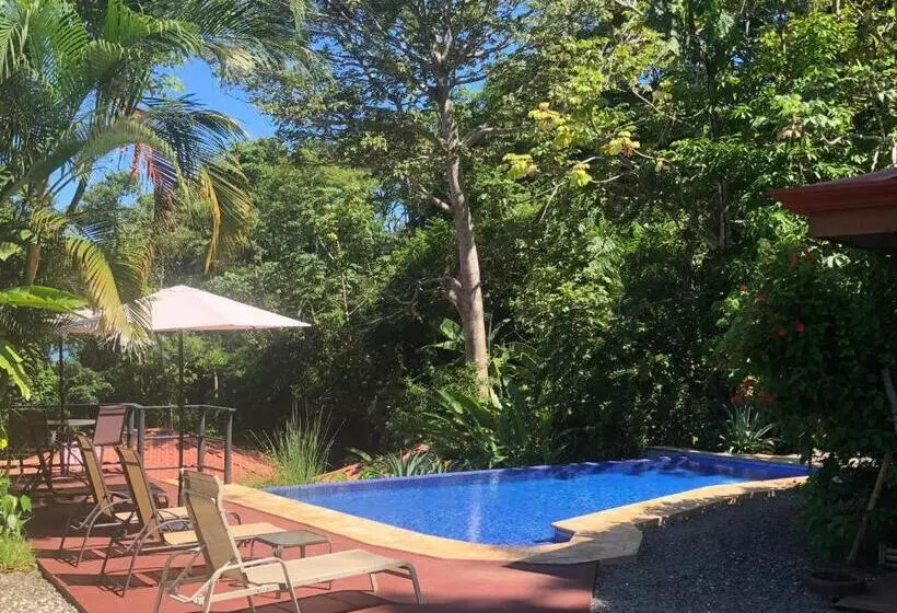 ホテル Casa Del Toucan