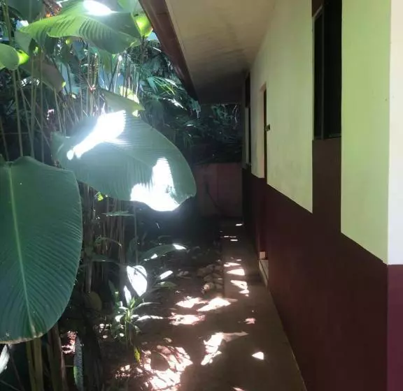 ホテル Casa Del Toucan