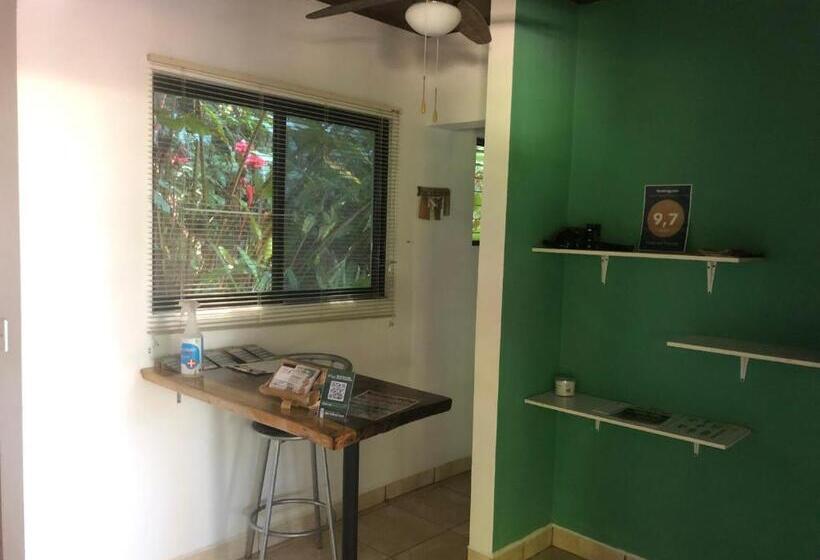 Отель Casa Del Toucan