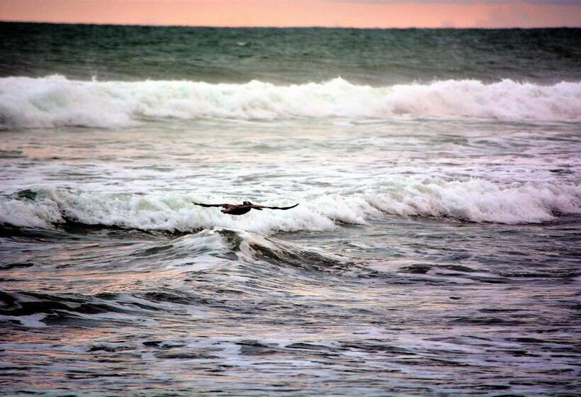 Отель Casa Del Toucan