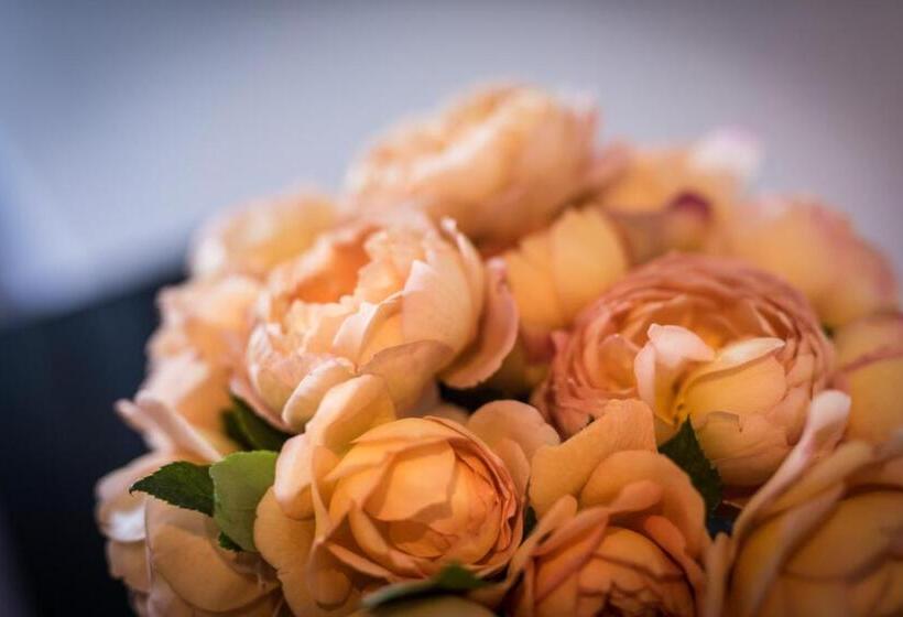 בית מלון כפרי Melchior Park