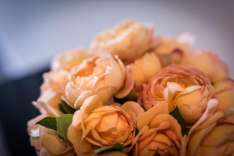 בית מלון כפרי Melchior Park