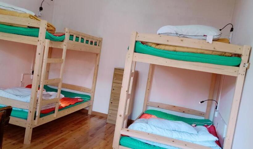 The Moon Bird Hostel