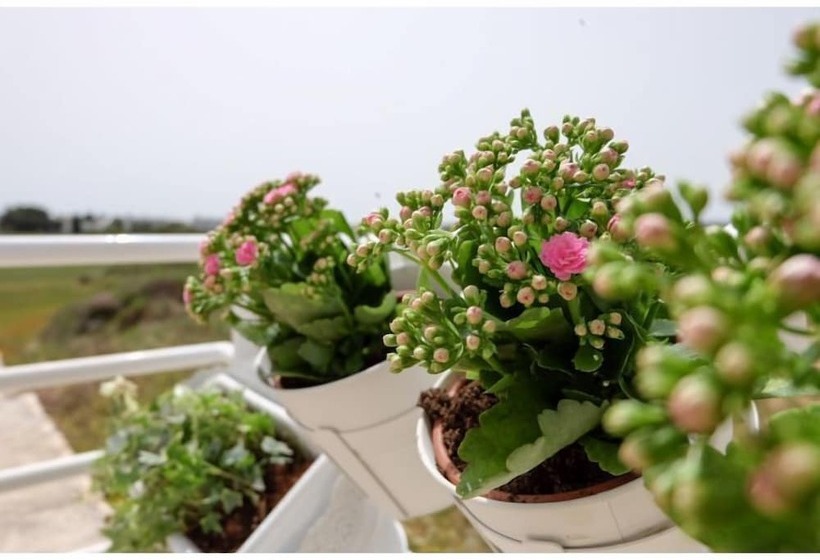 تختخواب و صبحانه La Dimora Salento