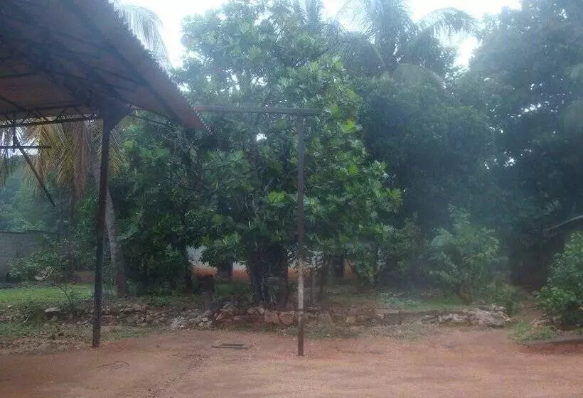 Hotel Asix