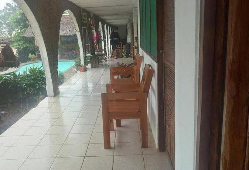 Lobo Hostel   Rurrenabaque