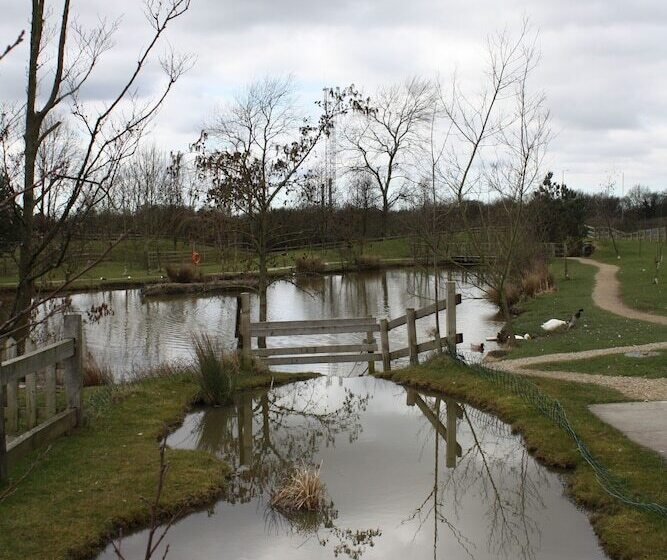 汽车旅馆  Charnock Farm