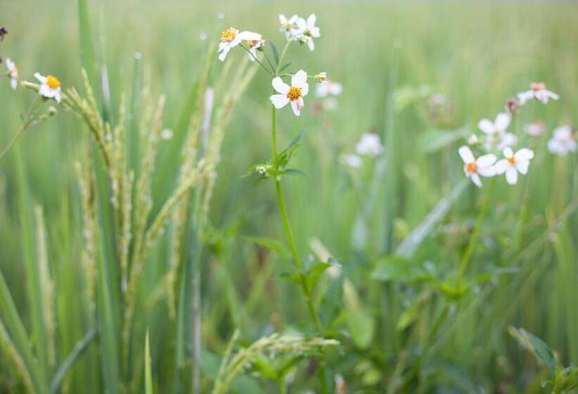 אתר נופש Mae Faek Villas