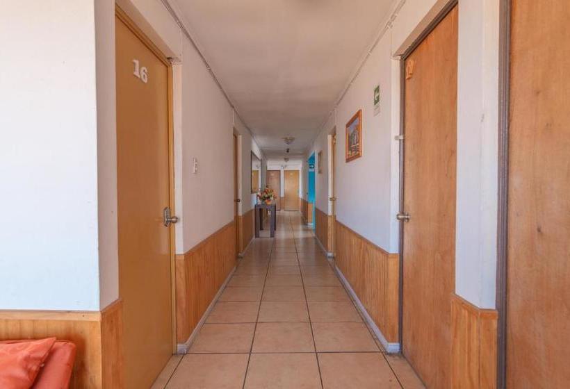 هاستل Hostal El Descanso