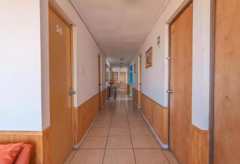 هاستل Hostal El Descanso