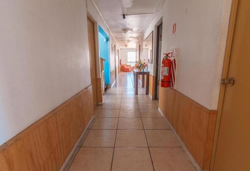 هاستل Hostal El Descanso