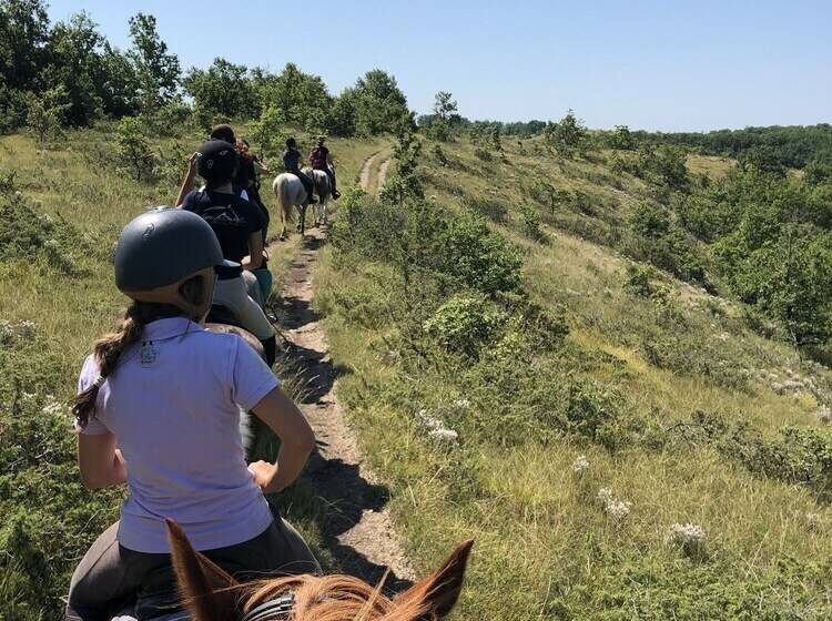 ベッドアンドブレックファースト Cabane   Loges De Carlat