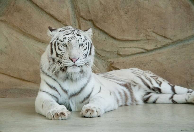 Hotel Monterey Himeji