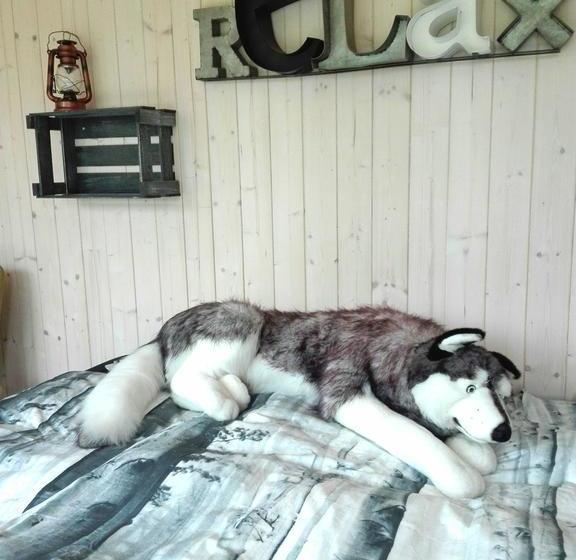 Курорт Aurora Sky Village